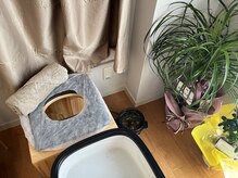 エテル(eter)/おかま直伝よもぎ蒸し