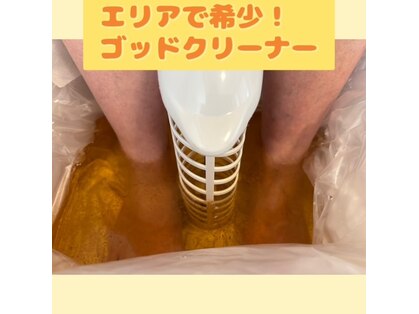 ナビ(Nabi)の写真