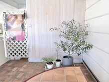 シェルジュ 沼津(shaluge)/階段下の植物