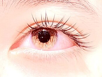 ネオリーブテラス 仙川店(Neolive terrace & Lavie EYELASH)/フラットラッシュ120本6.500円