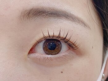 ティンク港南台 アイラッシュアンドネイル (Tink eyelash&nail)/まつげパーマ