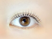 リノ カヒリ アイラッシュ(Lino kahili)/ラッシュリフト