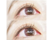 ブラウンフラットラッシュ3種《アッシュ/モーブ/カーキ》