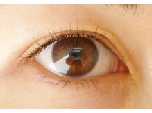 テイラー(Taylor)/まつげカール SONE