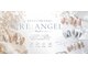 エンジェル ネイル(ANGEL NAIL)の写真