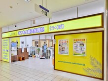 まつもと鍼灸接骨院 つくば