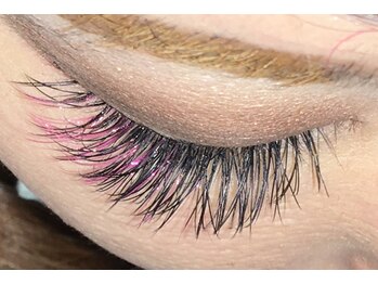 クインビー(Queen Bee)/ボリュームプラス・120本