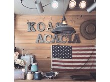 コア アカシア(Koa acacia)