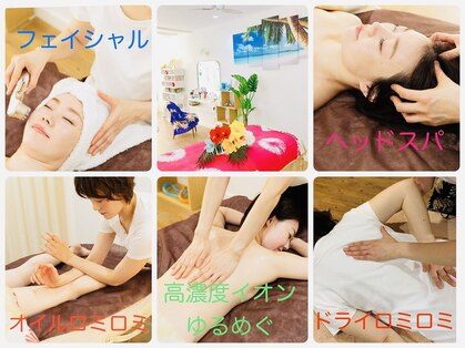 ポワン(Powan)の写真