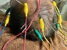 【電気流して育毛ブースト】育毛促進鍼×頭皮電気鍼×頭皮環境改善ヘッドスパ