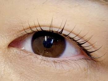 ダズル(DAZZLE)/Sカール