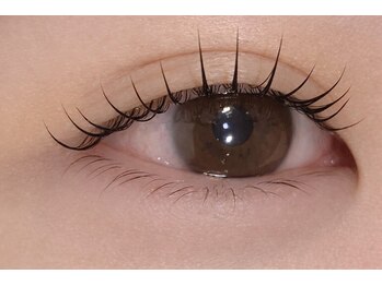 シャローム アローヴ(shalom alob)/Cカールまつパ