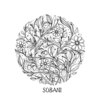 ソバニ(SOBANI)のお店ロゴ