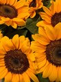 マユカ 浜松初生店(Mayuka) ひまわりの花が元気出るので好きです!