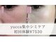 ユッカ(yucca)の写真