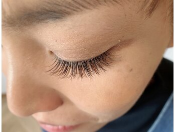 アズールラッシュ(Azul Lash)/アースカラー