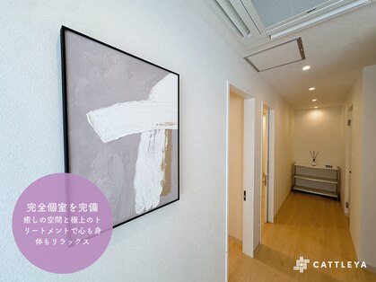 カトレア(CATTLEYA)の写真