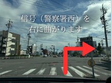 アース 岡崎店(EARTH)/信号（警察署西）を
