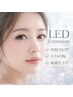 【新規限定】LEDフラットラッシュ ボリューム 160本｜高持続×ふんわり濃密
