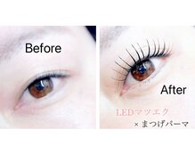 アンベリイルラッシュ(Embellir Lash)/マツエク×マツパのセット広島