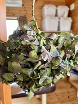 わたなべ整体院/