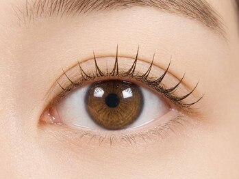 ルームヘア 笹塚フレンテ前店(Room hair)の写真/《パリジェンヌ》鏡を見る度気持ちが上がる♪自然な目元で大人女性に人気◎