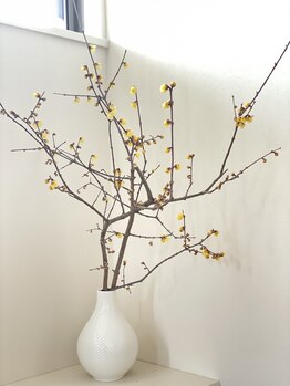 ポーラ mignon店(POLA)/フレッシュなお花