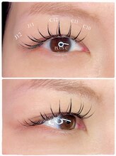 プラス シー(PLUS C)/ダブルフラット90束（180本）