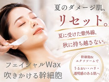 ビキャット(Be cat)の写真/夏のダメージ、秋に持ち越さない。40代からの肌に、今こそ本気のリセットケア。