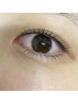 ブルーシエル(BLEU CIEL)/ラッシュリフト上下(MISA)