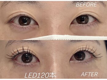 リズ(Li'z)/LED120本