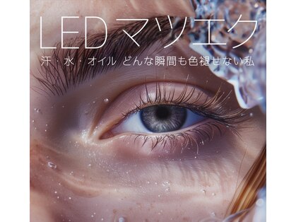 クロップ アイラッシュの写真