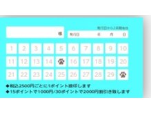 トコロティエ(tocorotie)/30ポイントで嬉しい2000円OFF♪