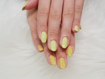 グラシアス(Gracias)/ワンカラー