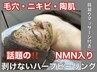 陶肌！話題の剥けないNMN入りハーブピーリング・肌質改善¥15400→