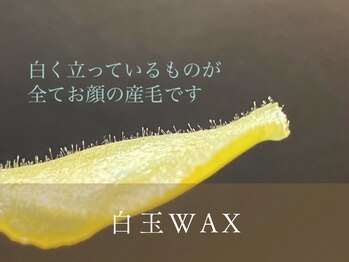 チャームズ(CHARM'S)/不要な産毛や角質まで★