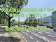 鍼灸院ネクストステップ(鍼灸院NextStep)の写真/外出して季節を感じたい♪広島市中区鶴見町の鍼灸院NextStepで動きやすい身体づくり♪