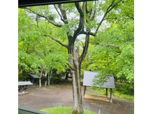 ナチュレ(Nature)/緑が美しい