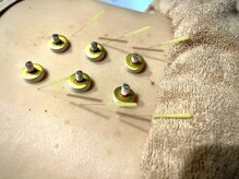 ハリーボ 銀座新富町(Hari-Bo)