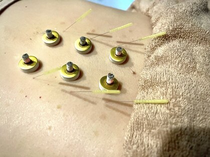 ハリーボ 銀座新富町(Hari-Bo)の写真