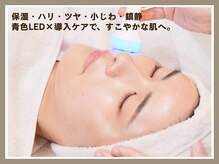 ディレイア ザ コスメ 有楽町マルイ店(direia the cosme)/エレクトロポレーション[有楽町]