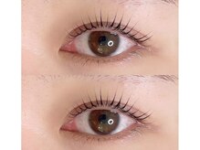 ラヴィエール(Laviere)/