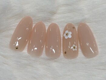 定額シンプルコース