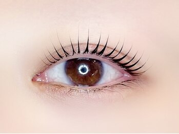 リノ カヒリ アイラッシュ(Lino kahili)/ラッシュリフト