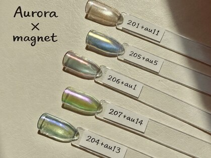 アットーレ 札幌の写真