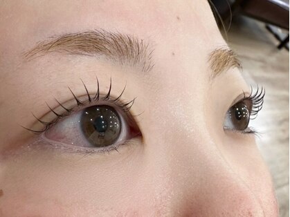 まつげパーマ/マツエク/LED/パリエク/眉毛/パリジェンヌ　Raffelia 【ラフェリア】の写真