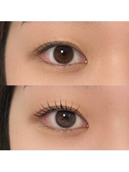 ラクス(Lacus)/まつげパーマ/まつパ