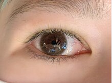 ブライト(Bright)/ボリュームラッシュ　カラー