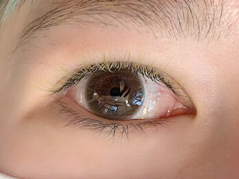 ブライト(Bright)/ボリュームラッシュ　カラー