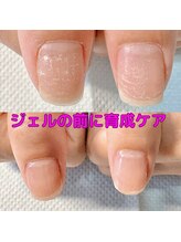 カンパニュラ(Campanula)/育成ケア